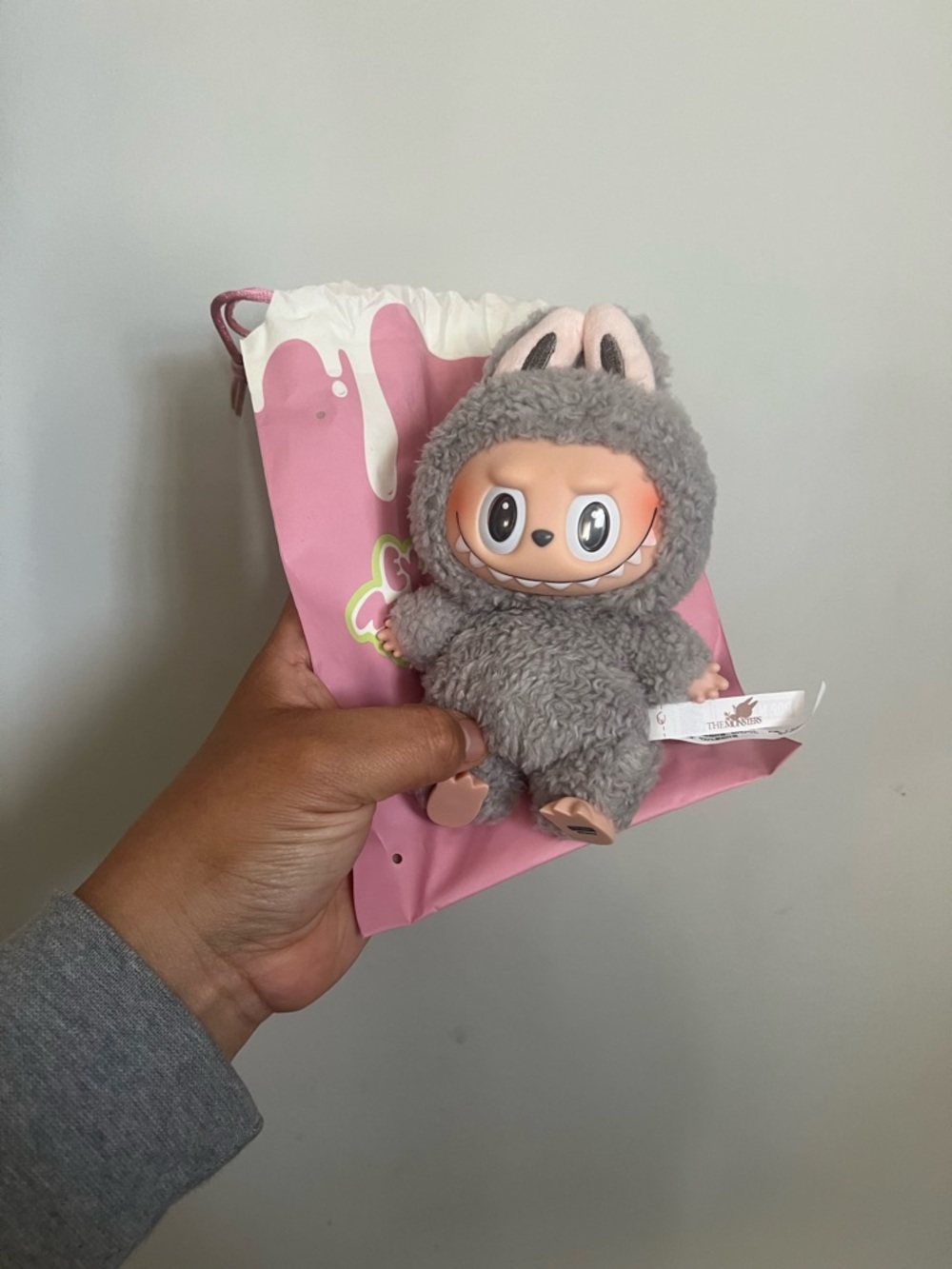 New in the Box Labubu with pencil case and 2 labubu pens